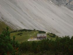 2013-09-08_6Falkenh-Steinfalk (350).JPG